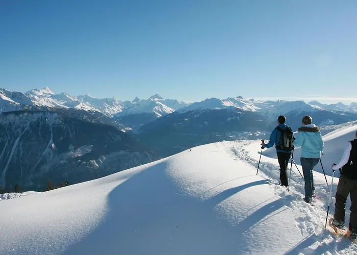 Les Faverges 1 By Interhome كرانز مونتانا